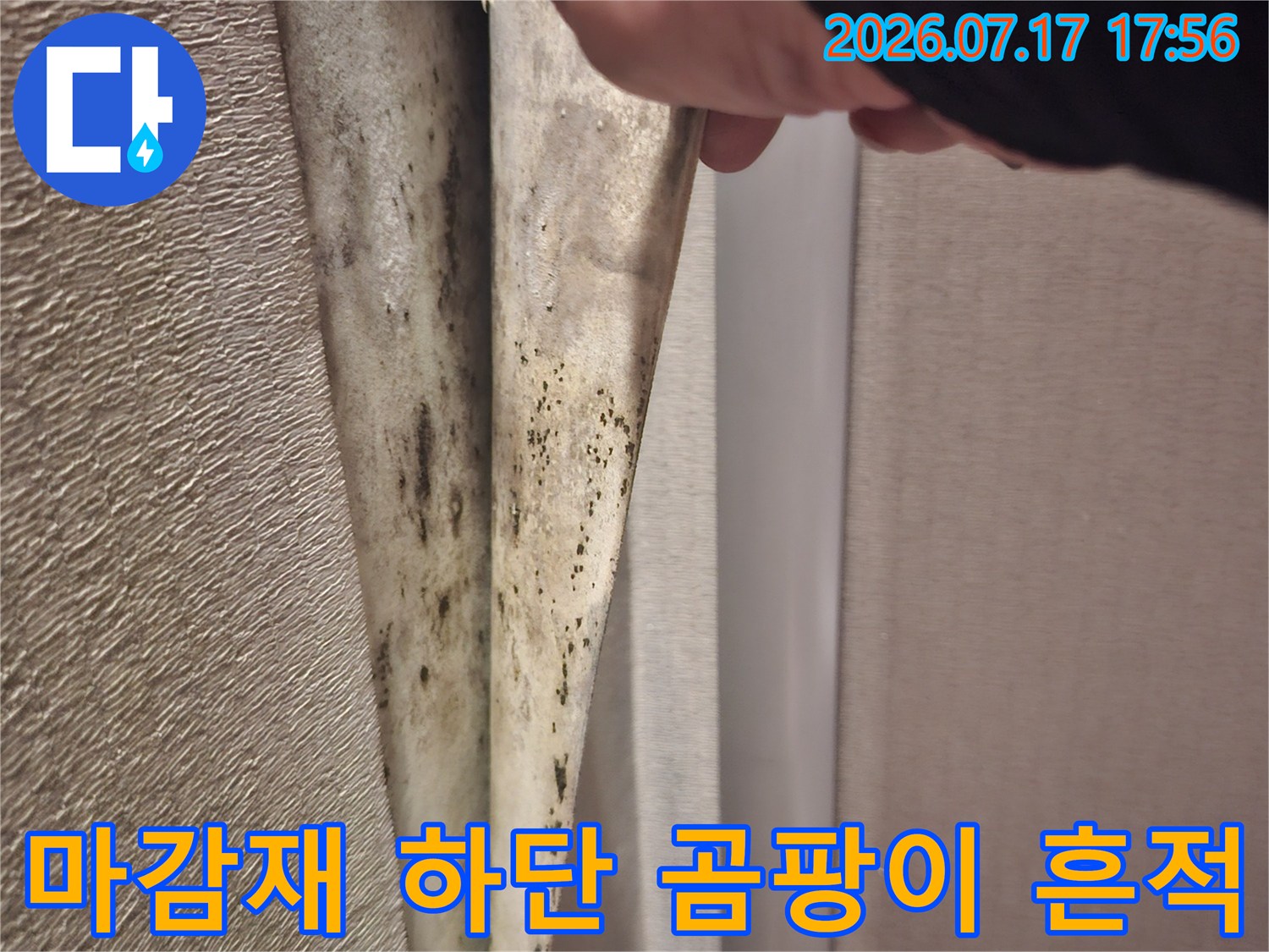 걸레받이 아래쪽 벽면에 검게 번진 곰팡이 자국과 습한 상태의 사진