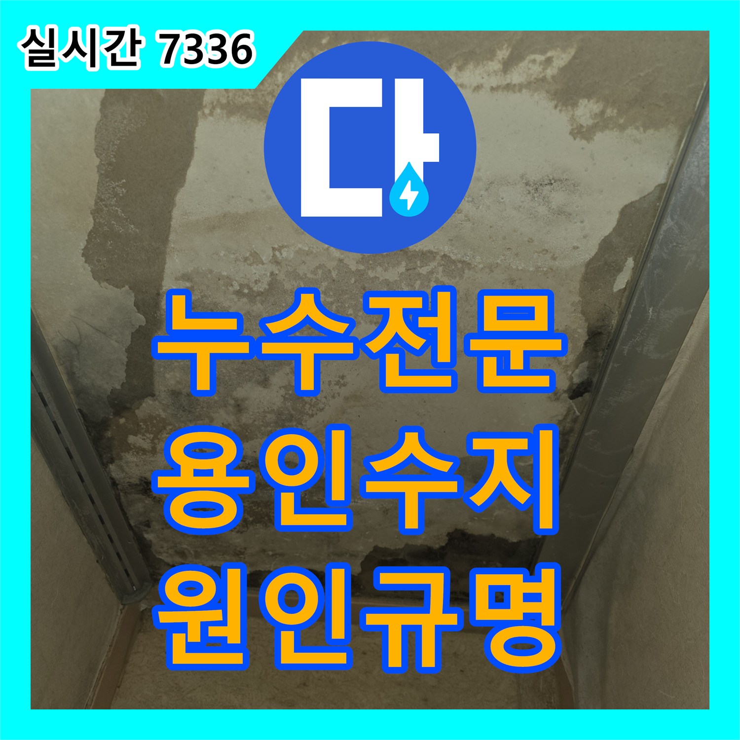 누수전문 내시경 카메라를 활용해 걸레받이 아래 곰팡이 원인을 규명한 경기 용인시 수지구 동천동 현장