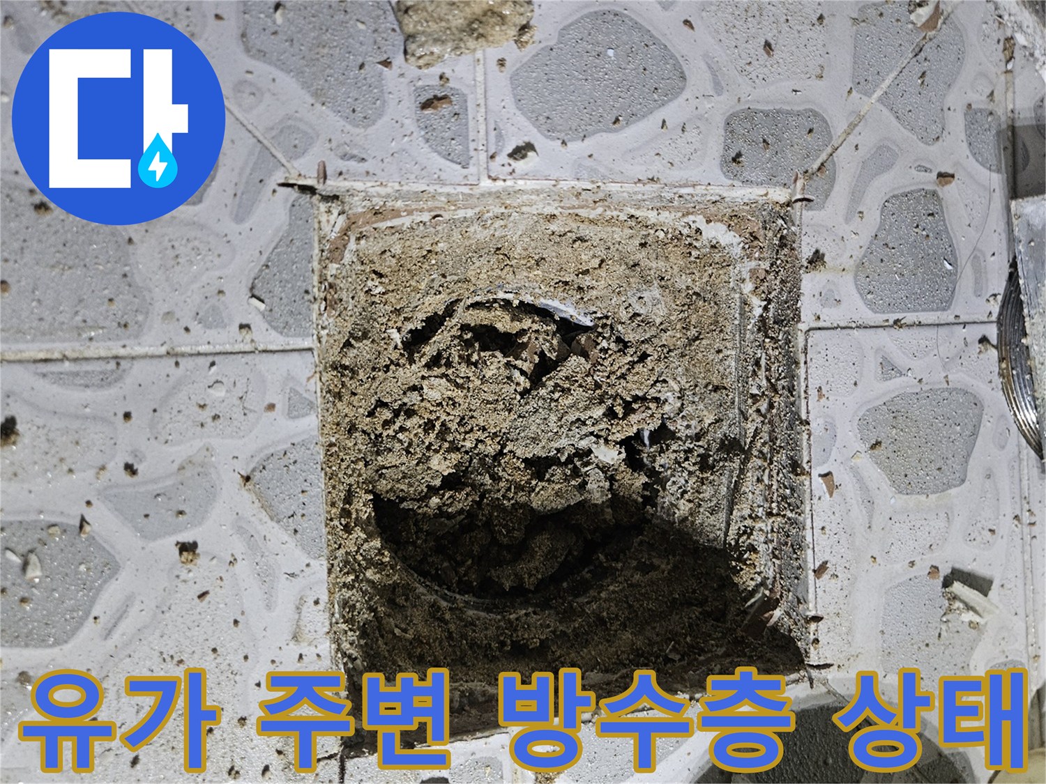 배수구-주변의-파손된-방수층과-젖어있는-흙의-상태