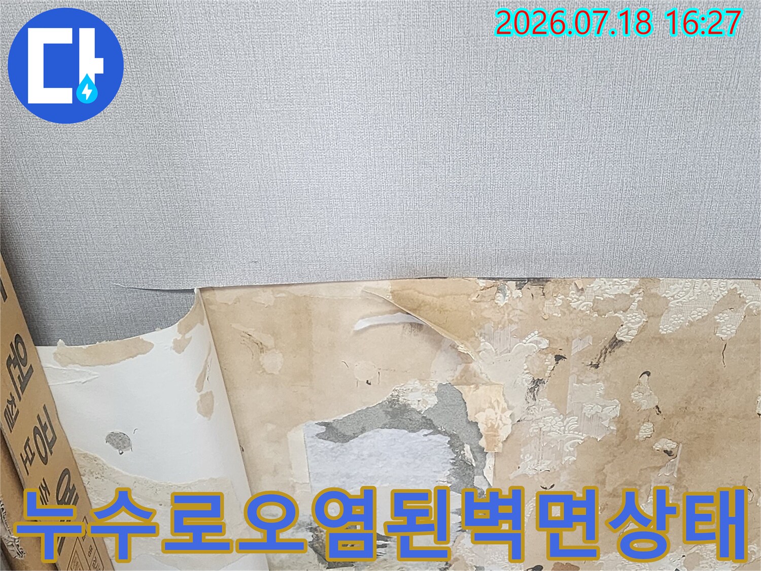 물기가 스며들어 갈색으로 변한 벽지 뒷면과 젖은 시멘트-벽
