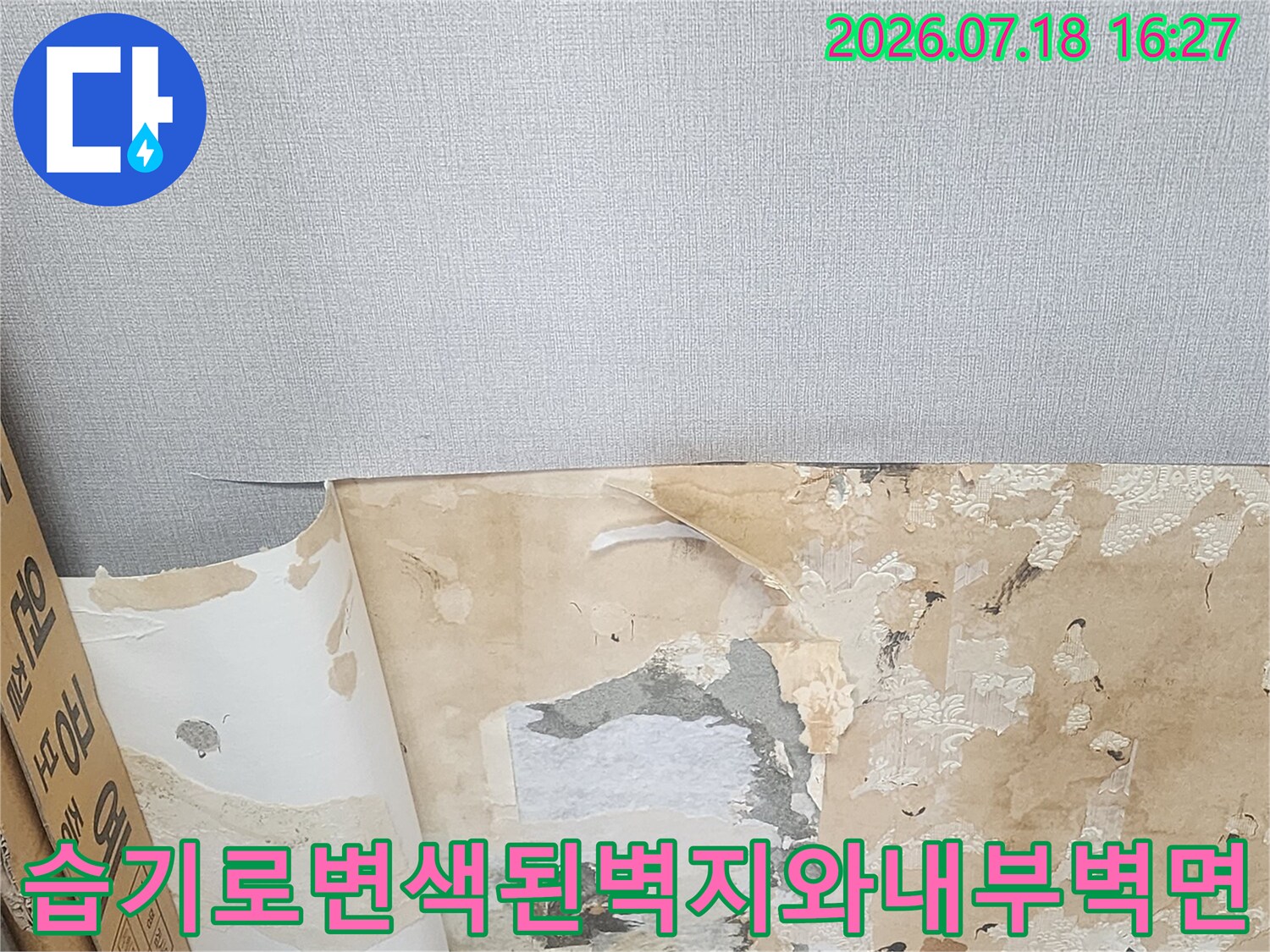 물에 젖어 색이 변한 벽지가 뜯겨져 있고-회색 시멘트 벽체가 노출된 현장 사진