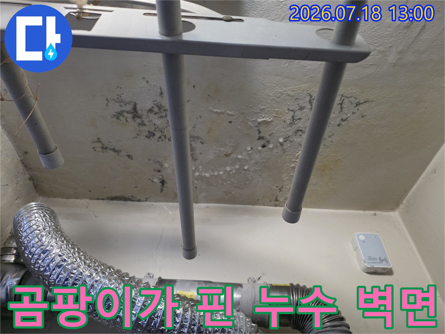 배관들이 설치된 흰색 벽면에 검은색 물 얼룩과 곰팡이가 넓게 퍼져 있는 장면