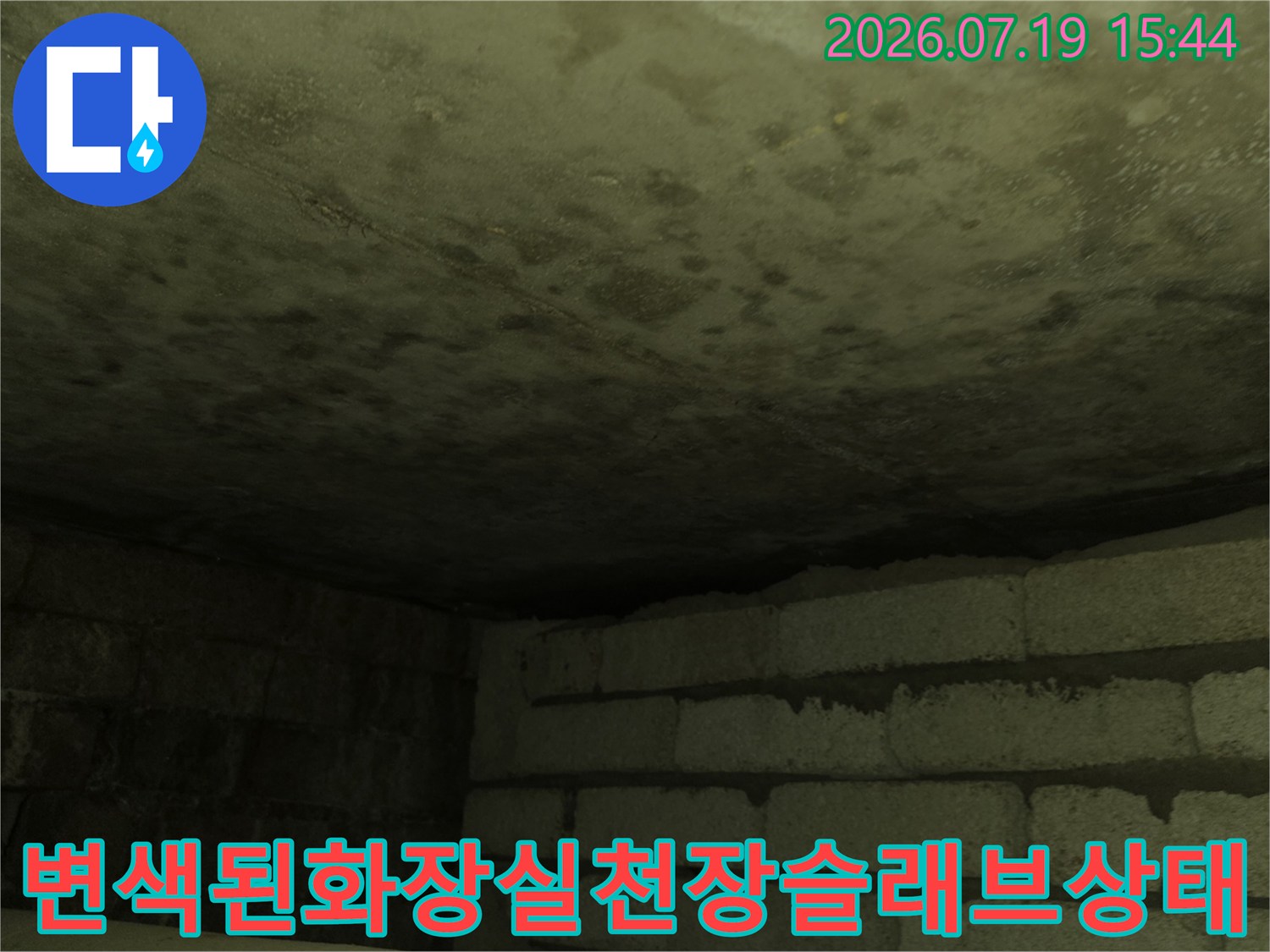 물기가 배어 나와 표면이 젖어 있고 얼룩이 생긴 화장실 천장의 콘크리트 면