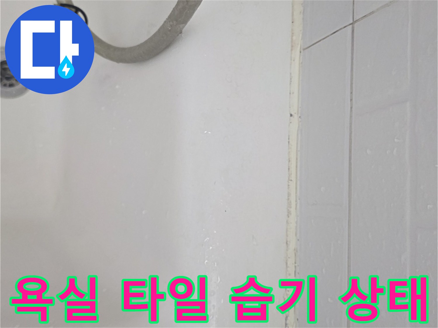 하얀색 욕조 옆 하수구 주변의 젖은 타일 표면 사진입니다.