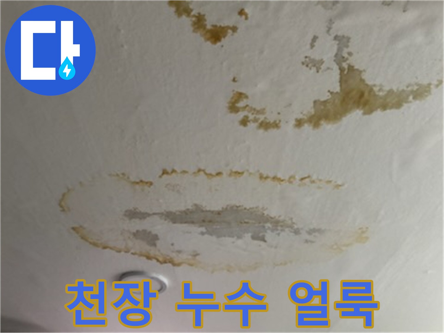 천장-도배지에-퍼진-갈색의-누수-얼룩-사진