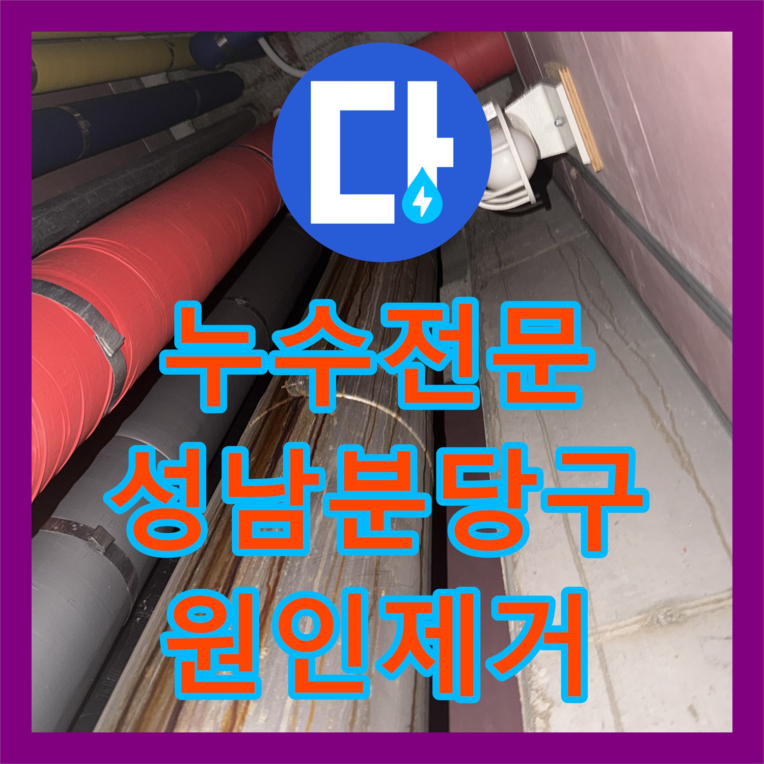 누수전문 성남 분당구 상가 건물 지하층 바닥 물고임과 천장 누수 진단 사례