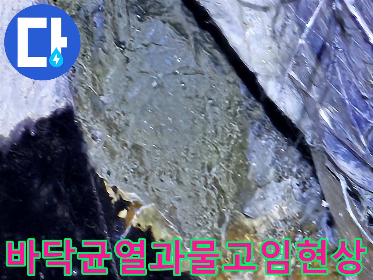 성남-분당-지하주차장-바닥-면의-심한-균열과-물고임-상태