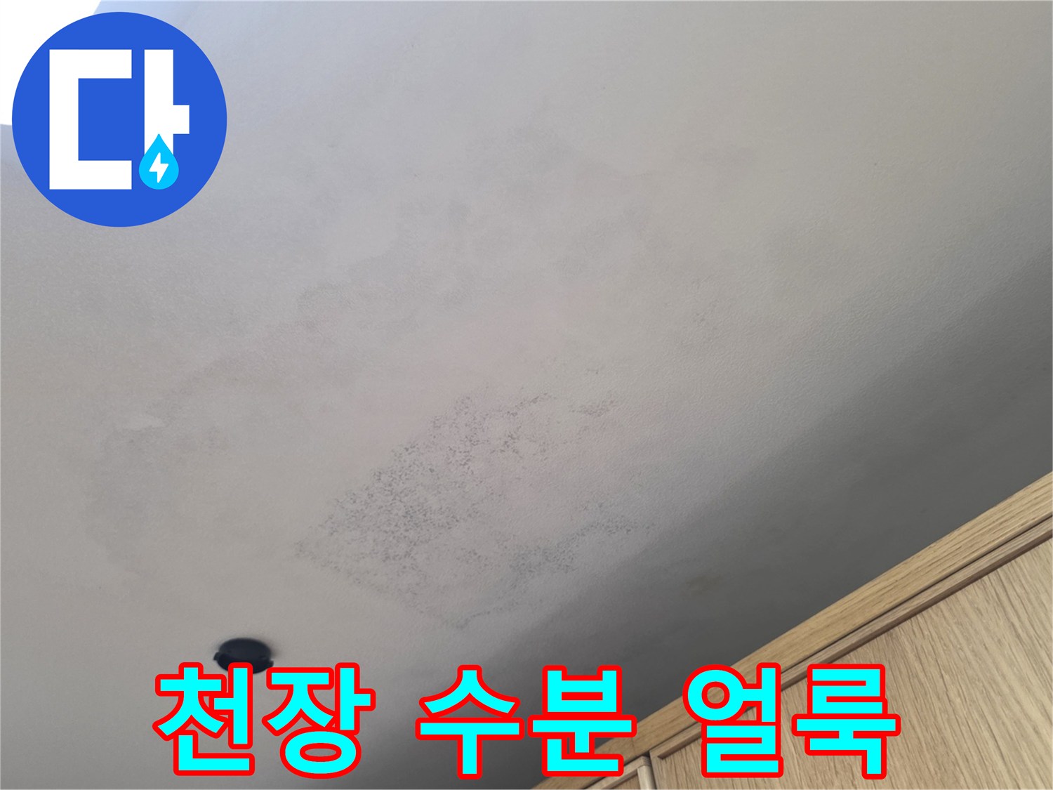 물기가 스며들어 변색된 천장 마감재 모습