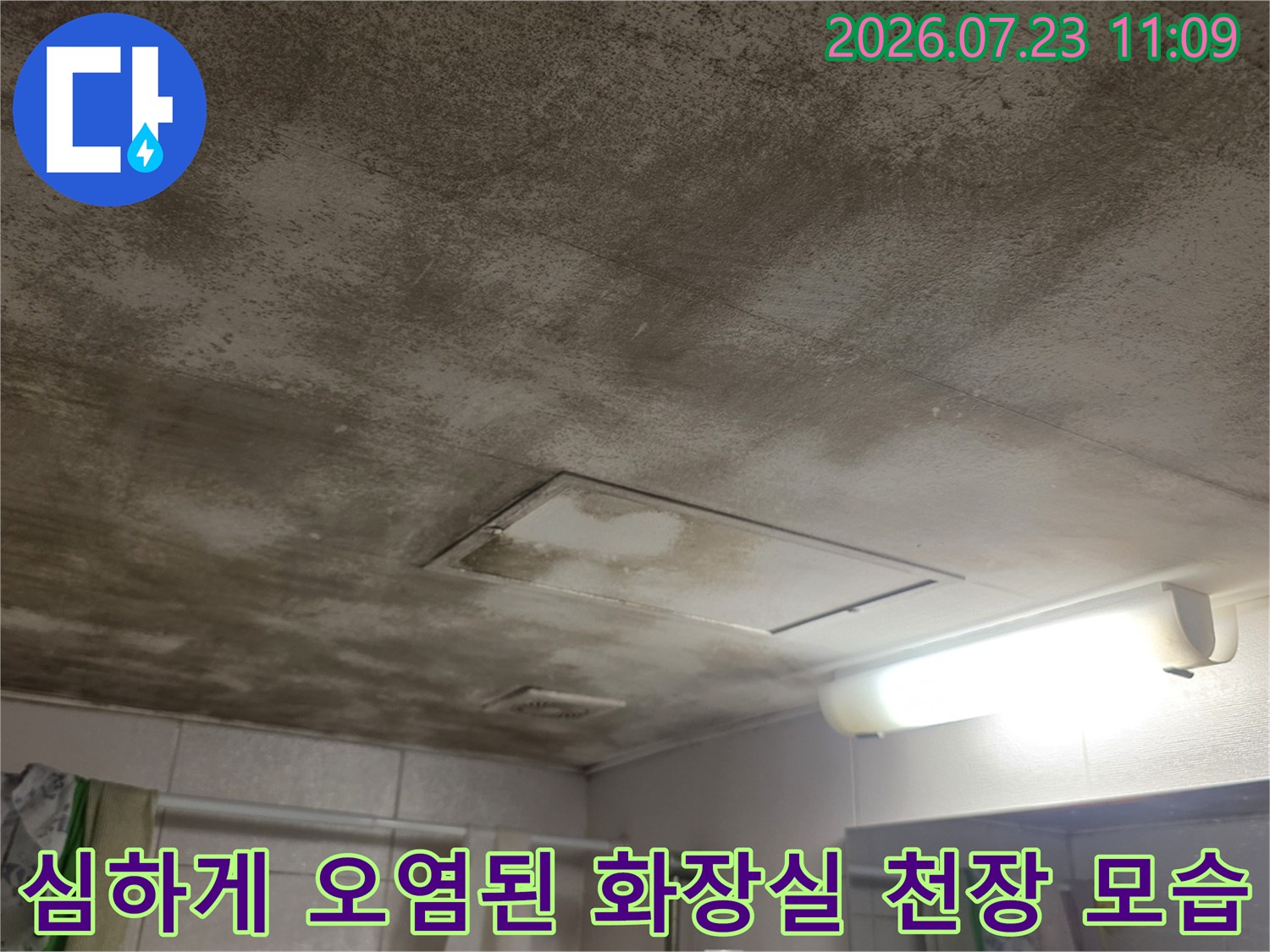 전체적으로 갈색 물 얼룩이 찌들어 있어 누수 피해가 심각한 욕실 천장의 이미지