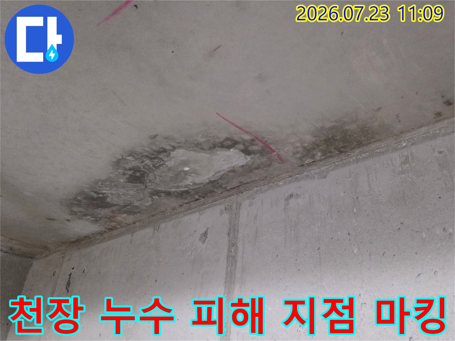 콘크리트 천장에 물이 샌 흔적으로 인해 생긴 거뭇한 얼룩과 표시용 분홍색 선-사진