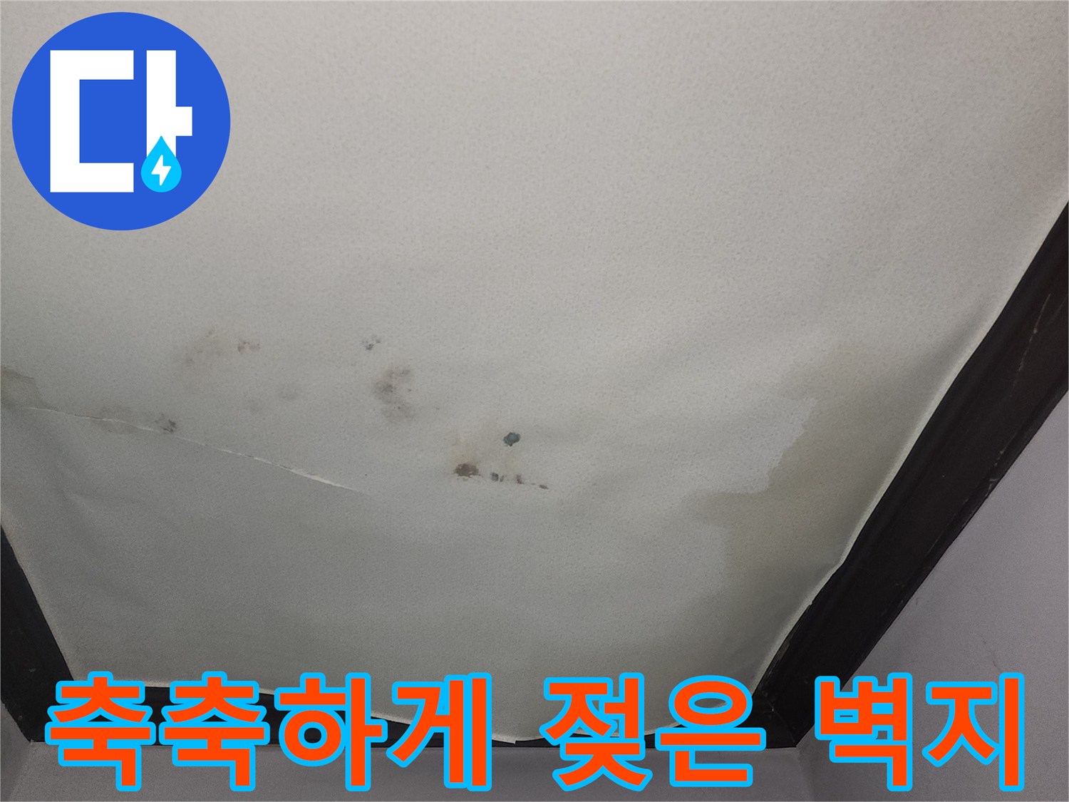 물기가 스며들어 변색된 천장 벽지의 상세 모습입니다.
