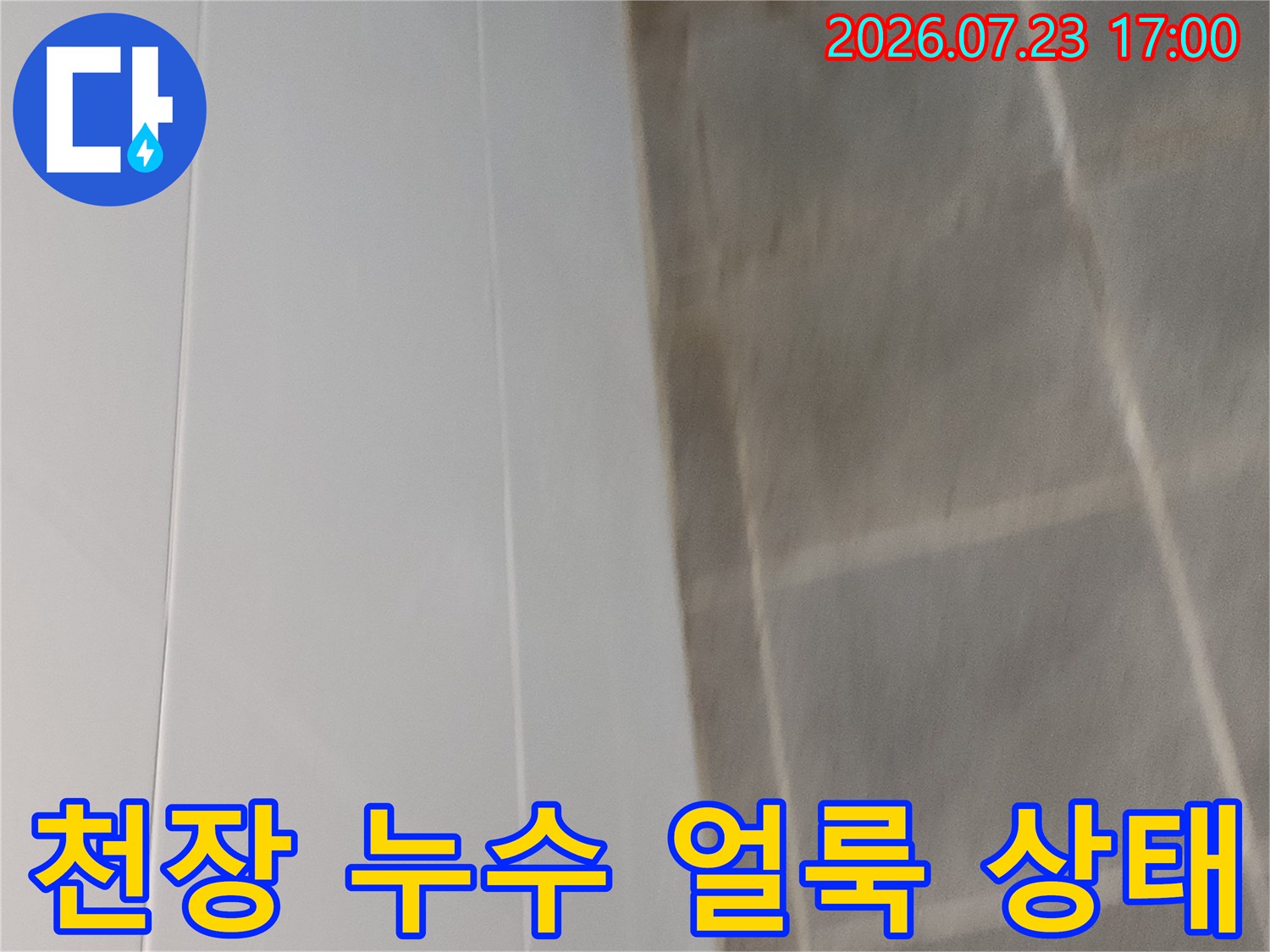 아랫층 거실 천장에 발생한 어두운 색상의 누수 오염 흔적-사진