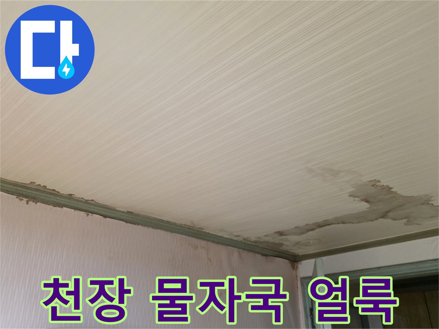 성북구 정릉동 빌라-천장재에 발생한 넓은 물얼룩과 벽면 습기 상태
