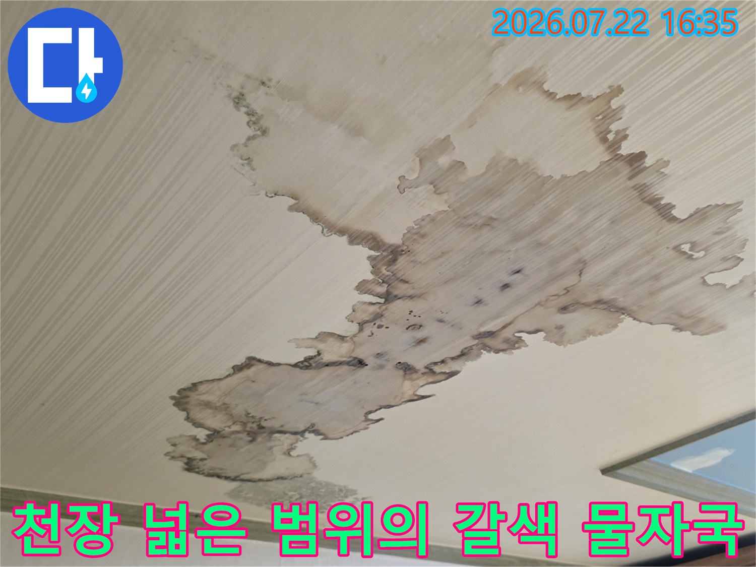 실내 천장의 실크벽지가 누수로 인해 광범위하게 갈색으로 변색된 모습