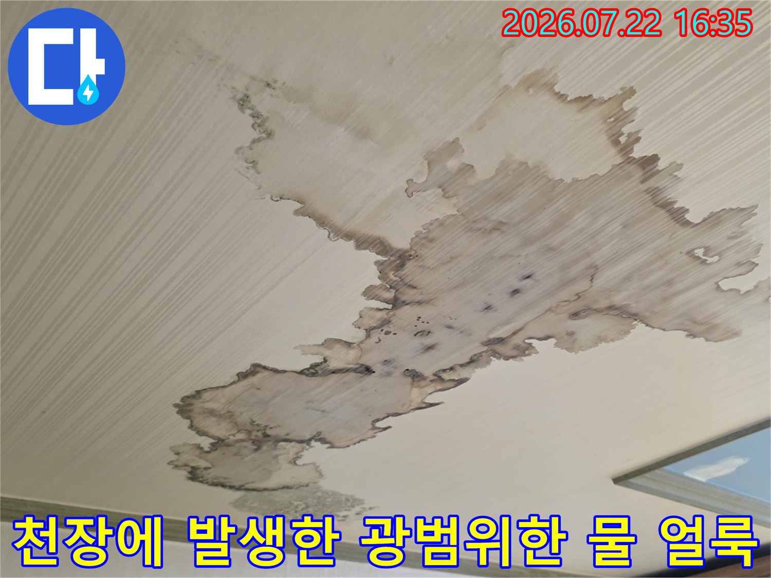줄무늬 패턴의 천장 벽지에 갈색 액체가 스며들어 변색된 피해 구역