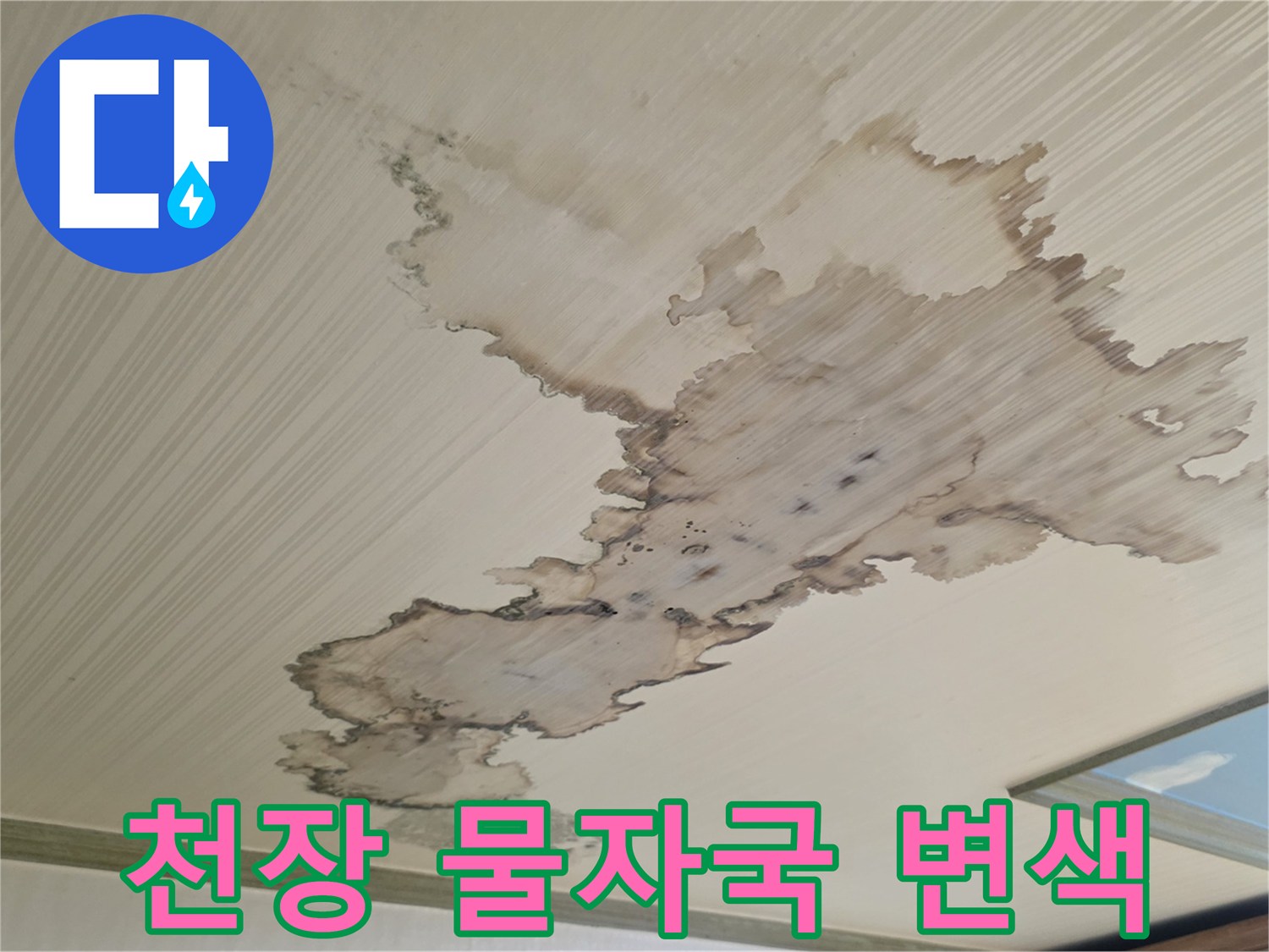 천장-면적에-넓게-퍼진-누수-흔적과-변색