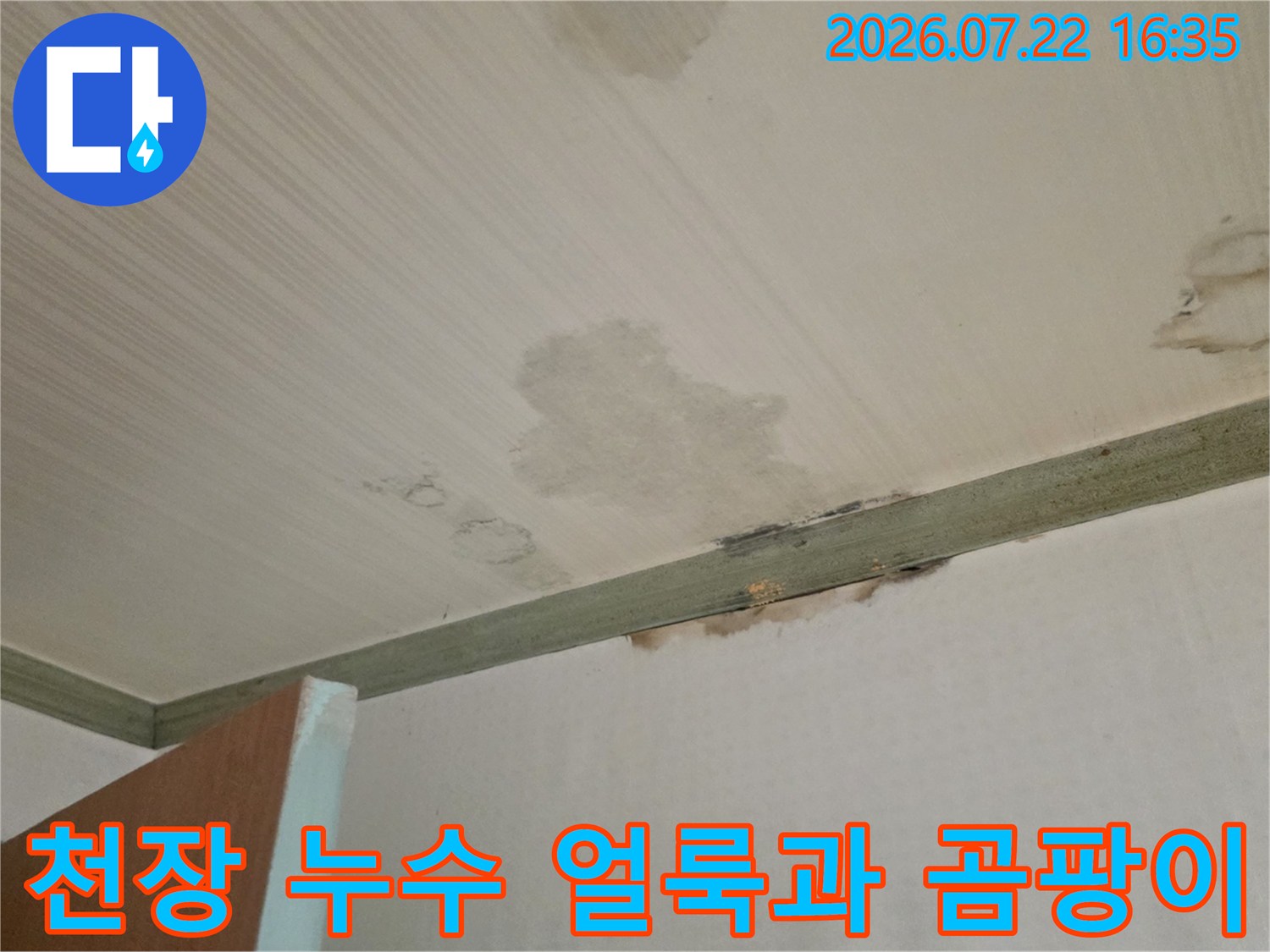 천장 몰딩 부근에 발생한 노란색 누수 얼룩과 습기로 인한 변색 상태