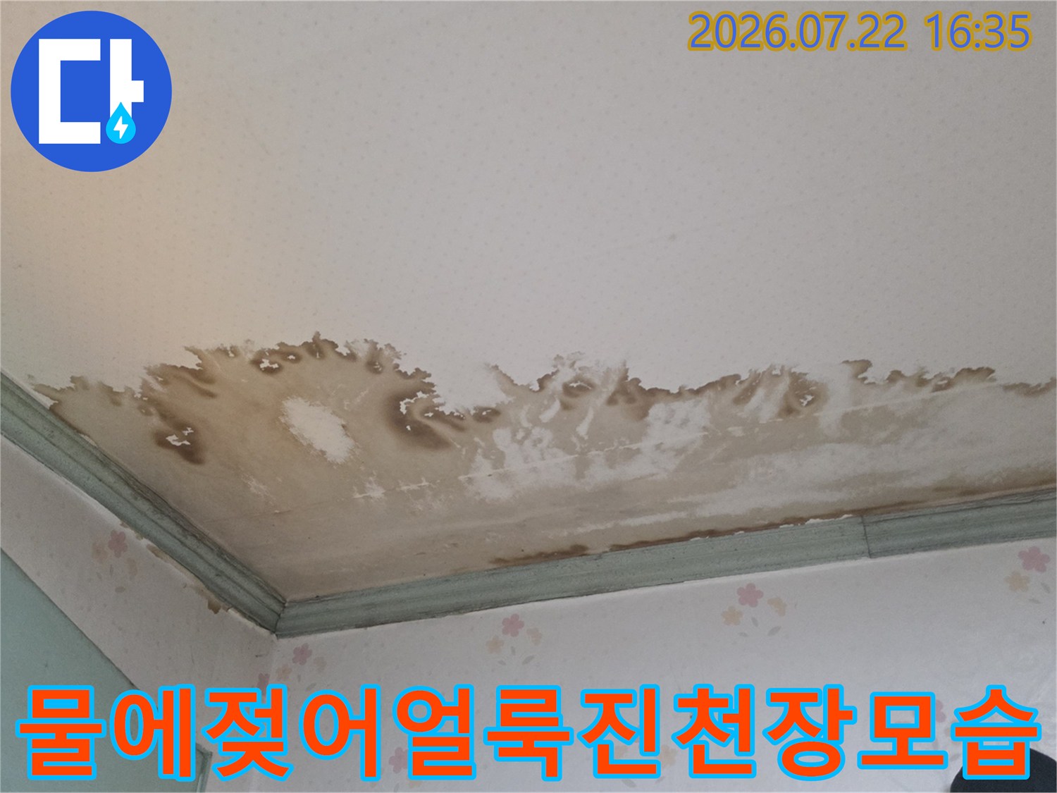 흰색 천장지가 물에 젖어 갈색 얼룩과 곰팡이가 발생한 모습