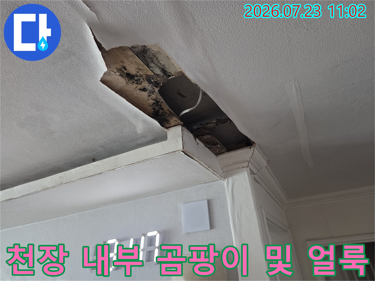물-유입으로-인해-내부에-곰팡이가-피고-오염된-천장-단면