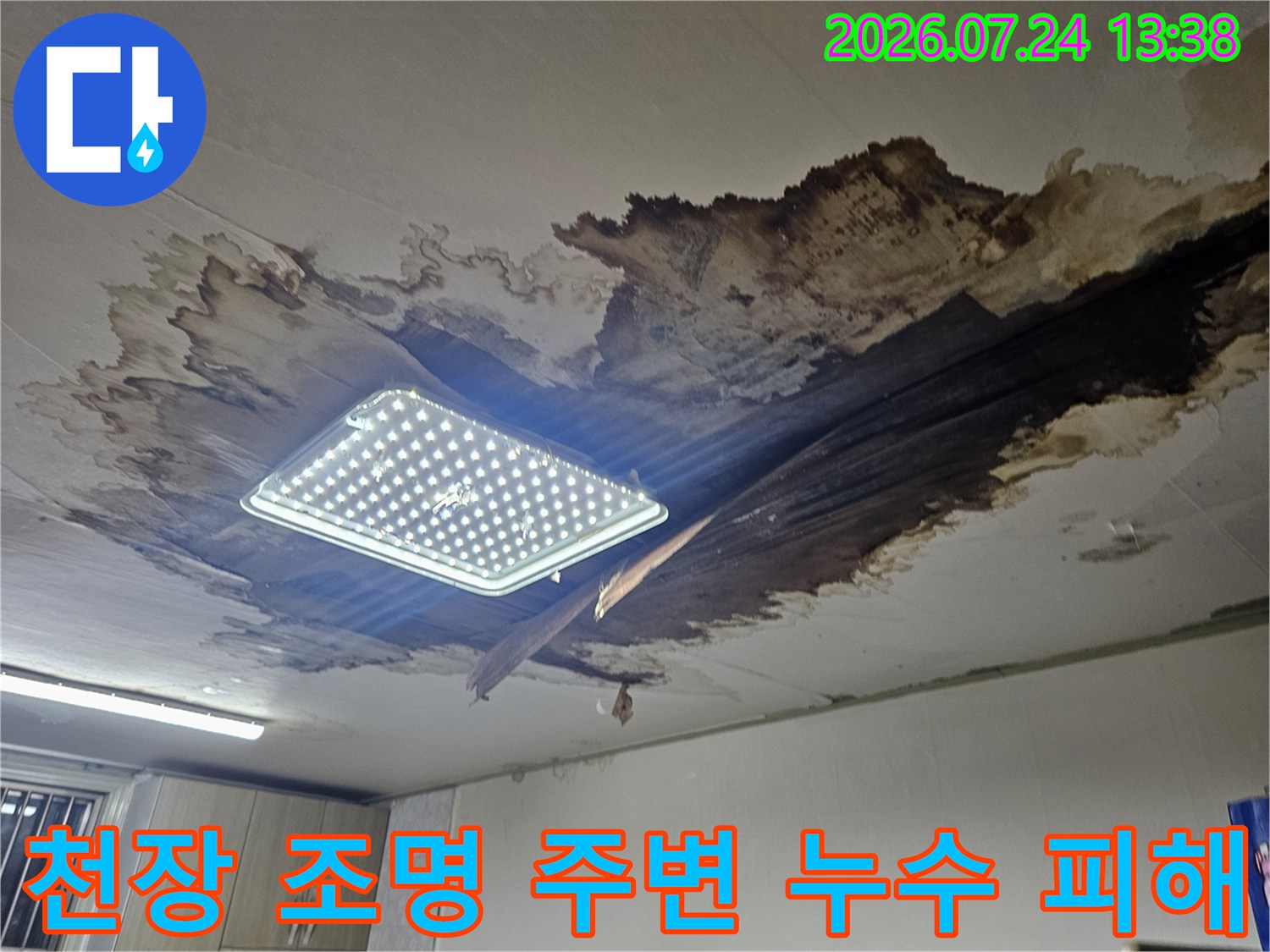 사각형 전등 주변으로 천장재가 썩어 떨어지고 검은 물때가 낀 모습