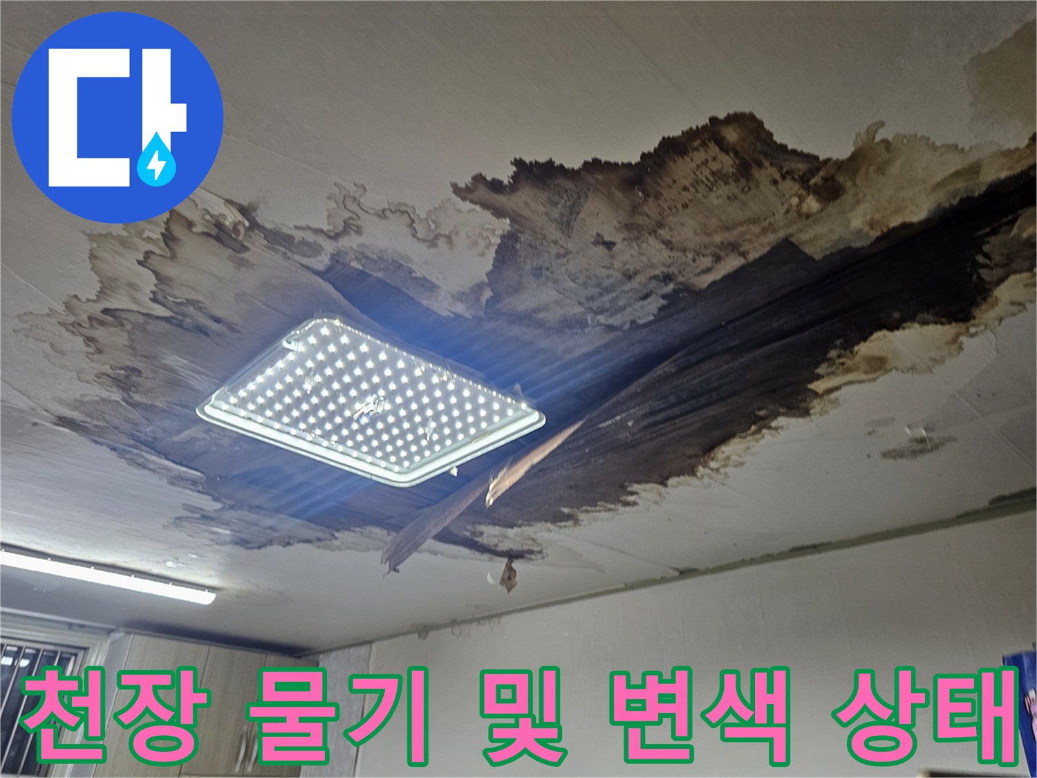 상도동 빌라 거실 천장-누수로 젖어 있는 전등 주변