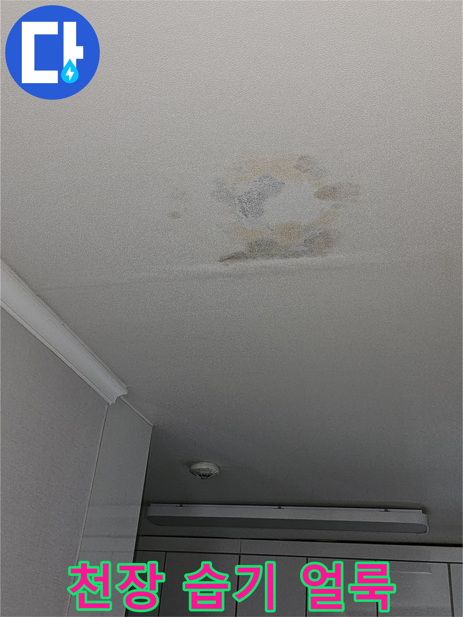 거실 천장에 나타난 물 번짐 및 변색 부위