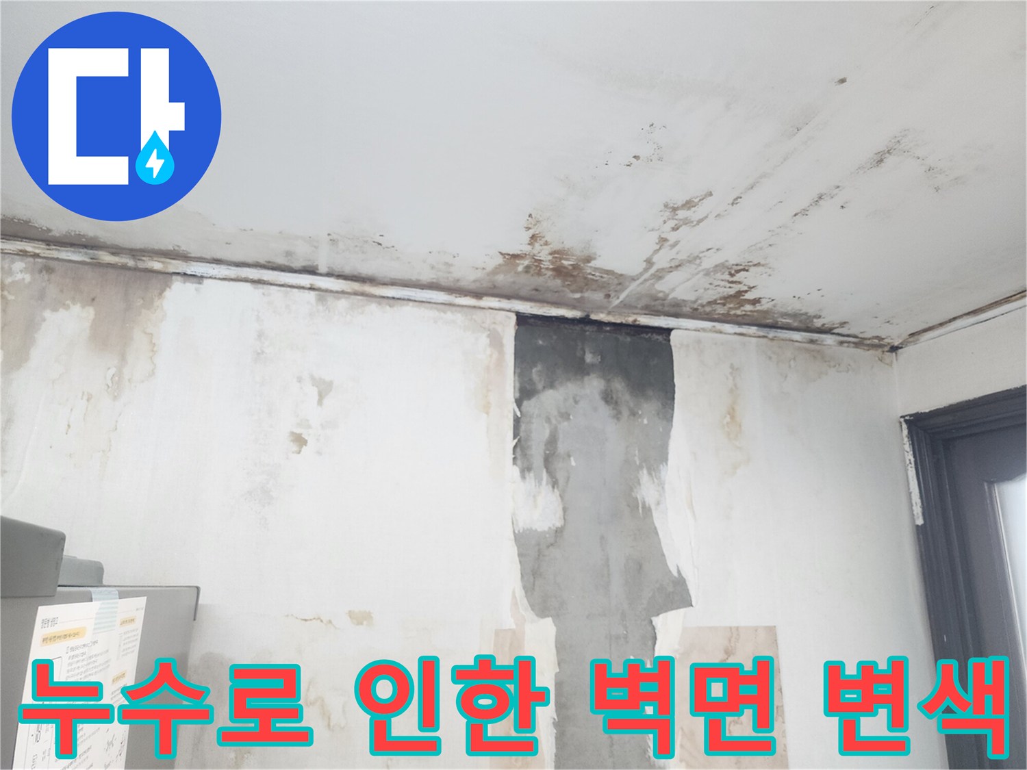 물샘 증상이 나타난-주방 천장의 곰팡이와 얼룩