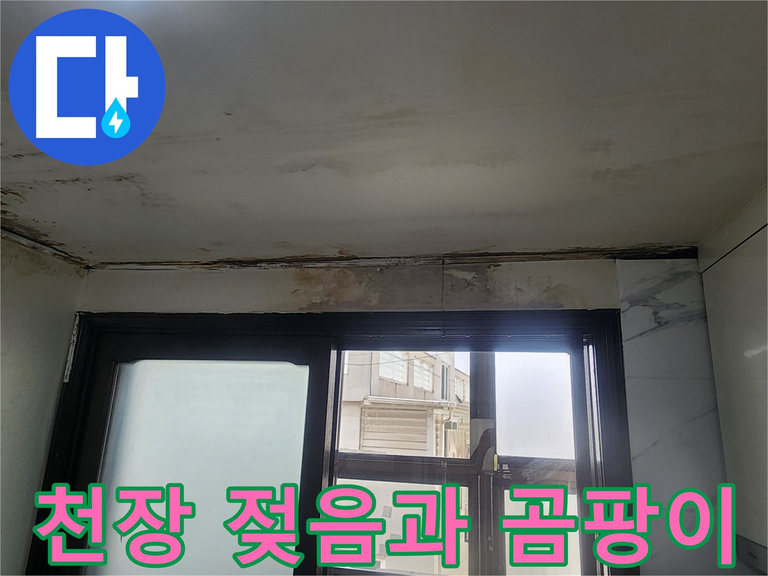 주방 천장 모서리-누수로 인한 오염 및 곰팡이 상태