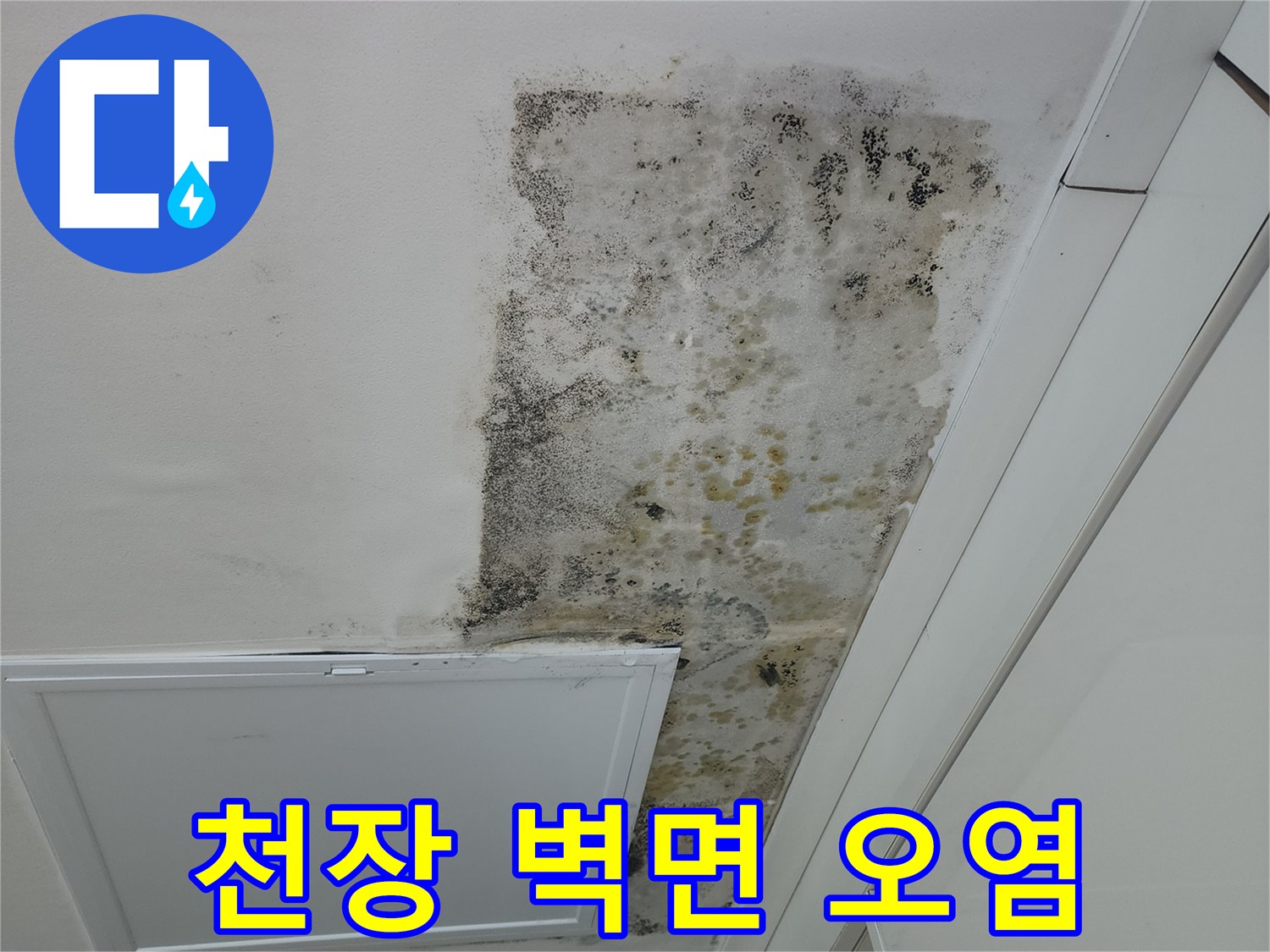습기로 인해 곰팡이가 피어오른 천장 마감재 부위