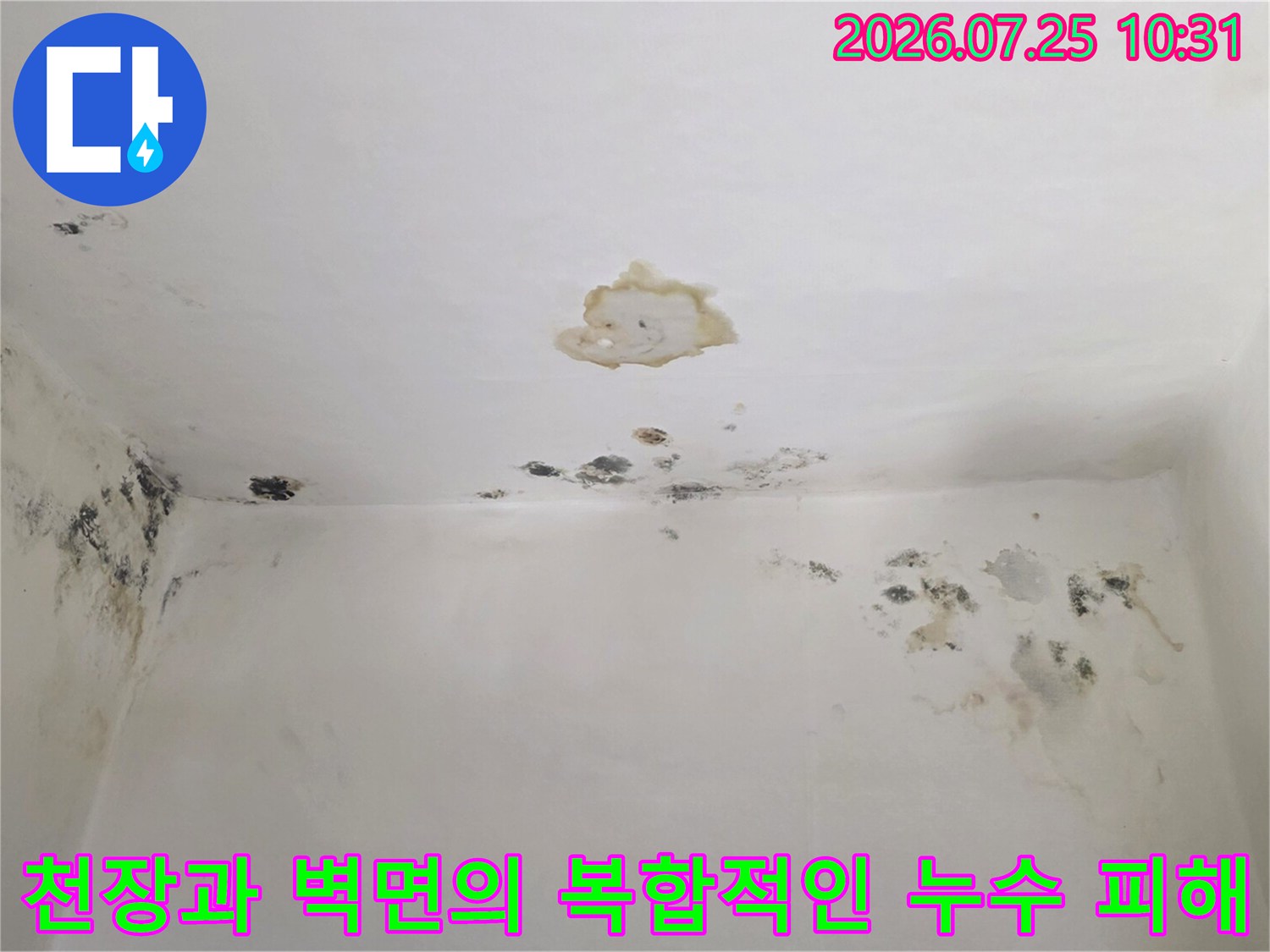 노란색-물얼룩과-검은-곰팡이가-혼재된-아파트-안방-천장-모습