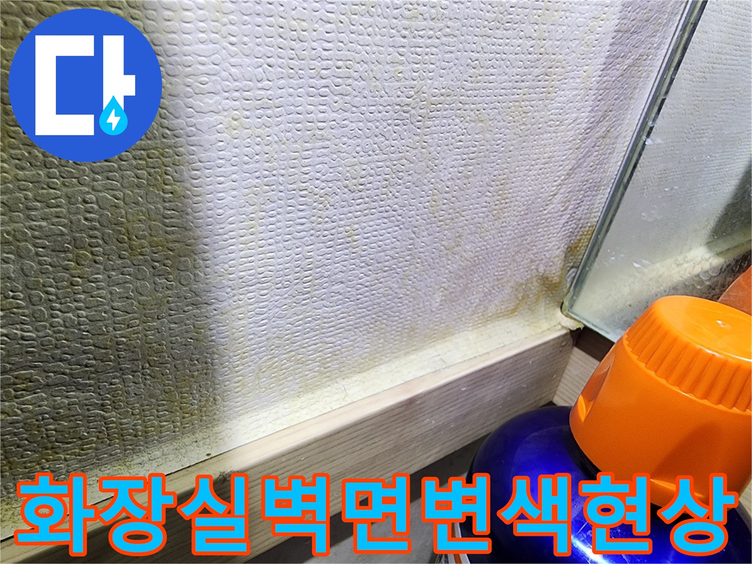 구리 인창동 화장실 벽면의 곰팡이와 변색된 상태를 보여주는 사진