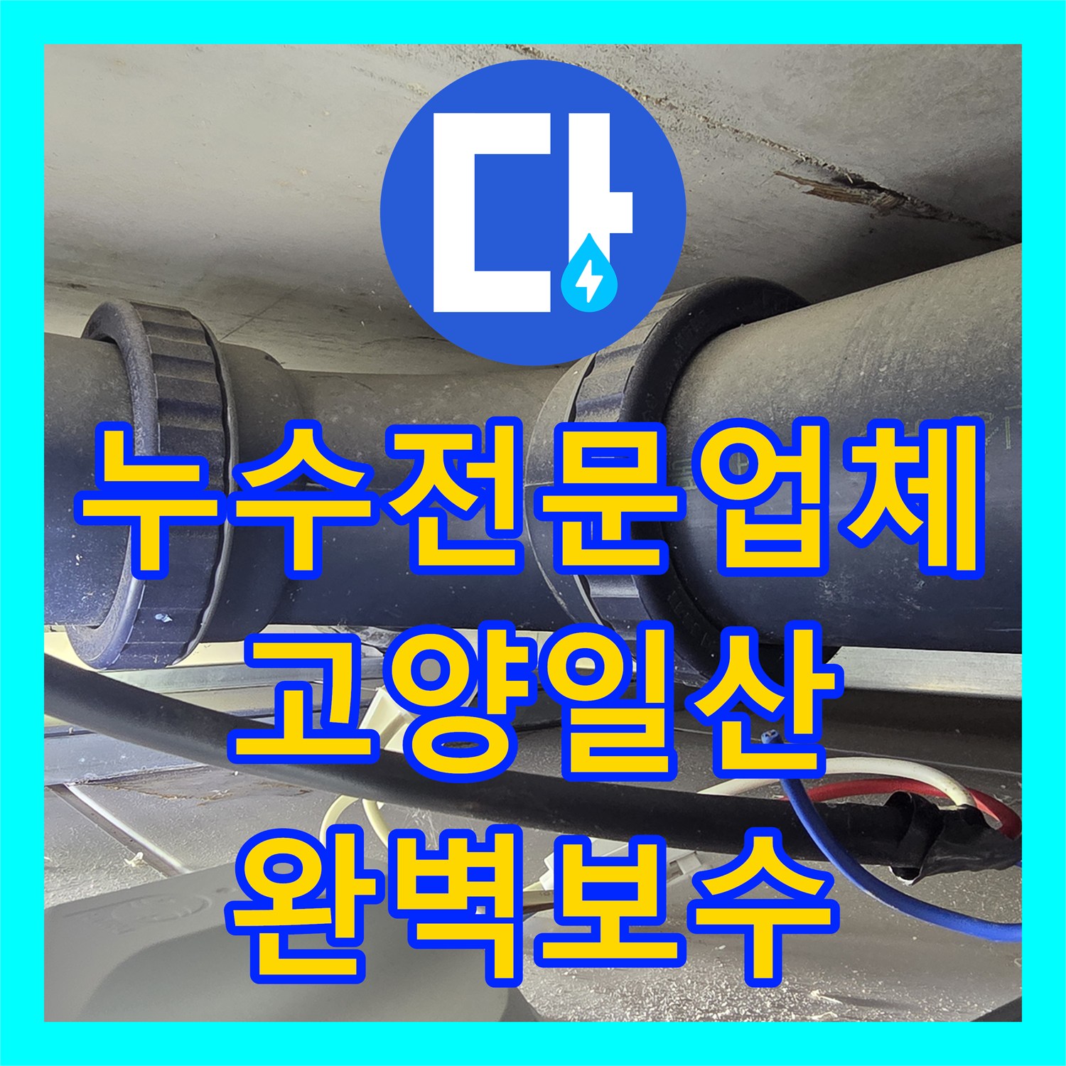 누수전문업체 화장실 오수배관 노후 누수 진단 및 돔천장 신설 경기 고양시 일산동구 중산동