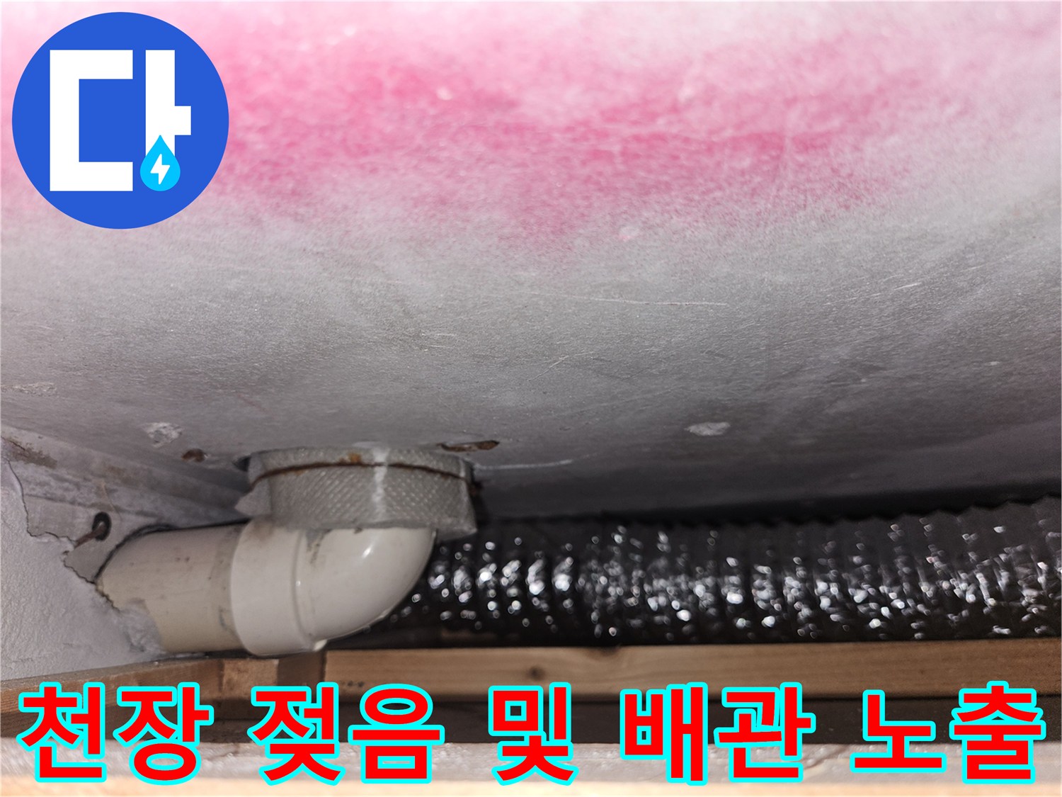 곰팡이가 발생한 천장과 노출된 하수 배관의 모습