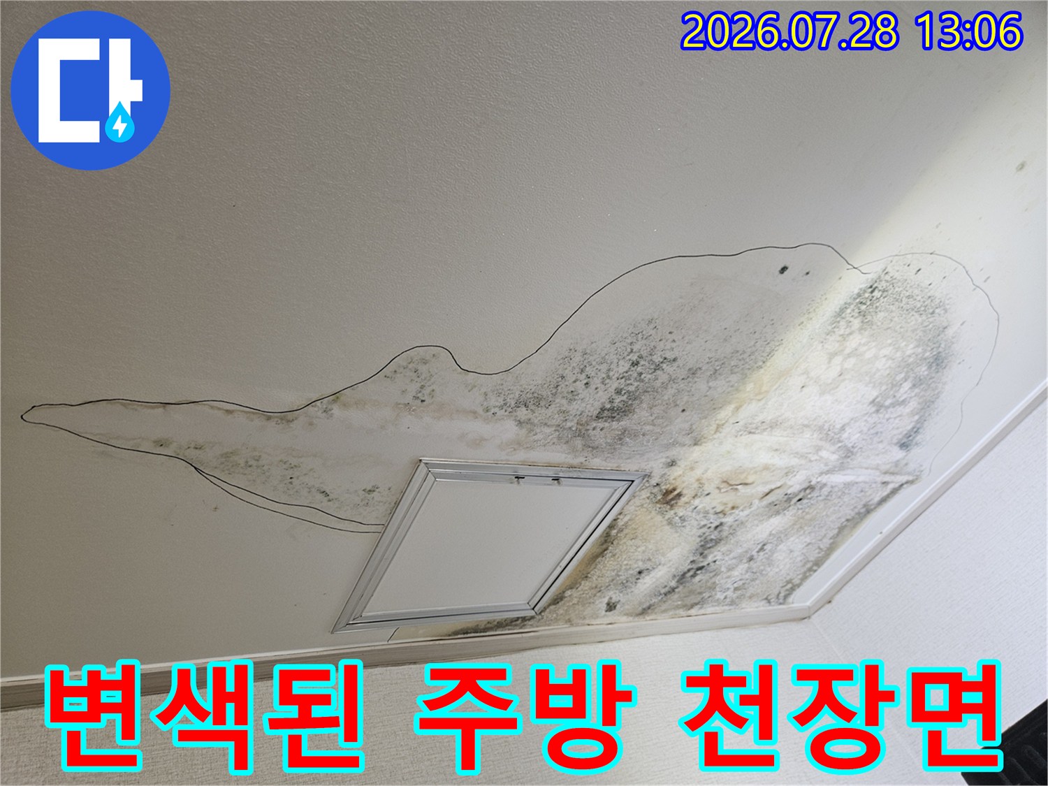 배수 파손 부위를 따라 번져나간 곰팡이와 수분 자국
