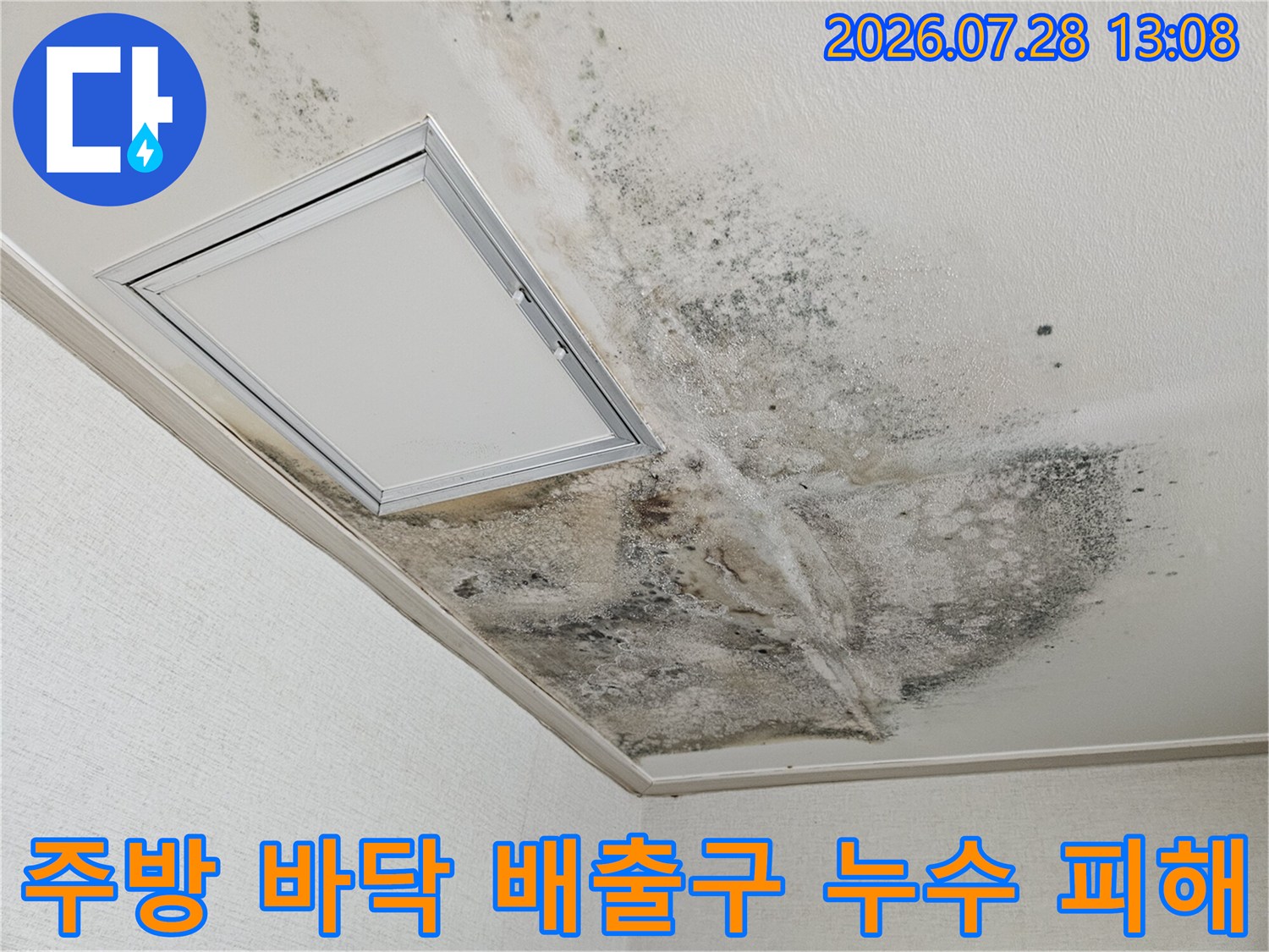 배수 프레임 주변으로 번진 곰팡이와 습기로 인한 변색 구간