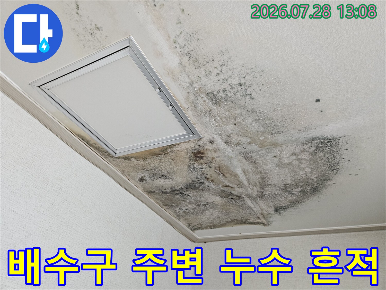 배수관 연결 부위의 습기 침투와 곰팡이 발생 현황 사진