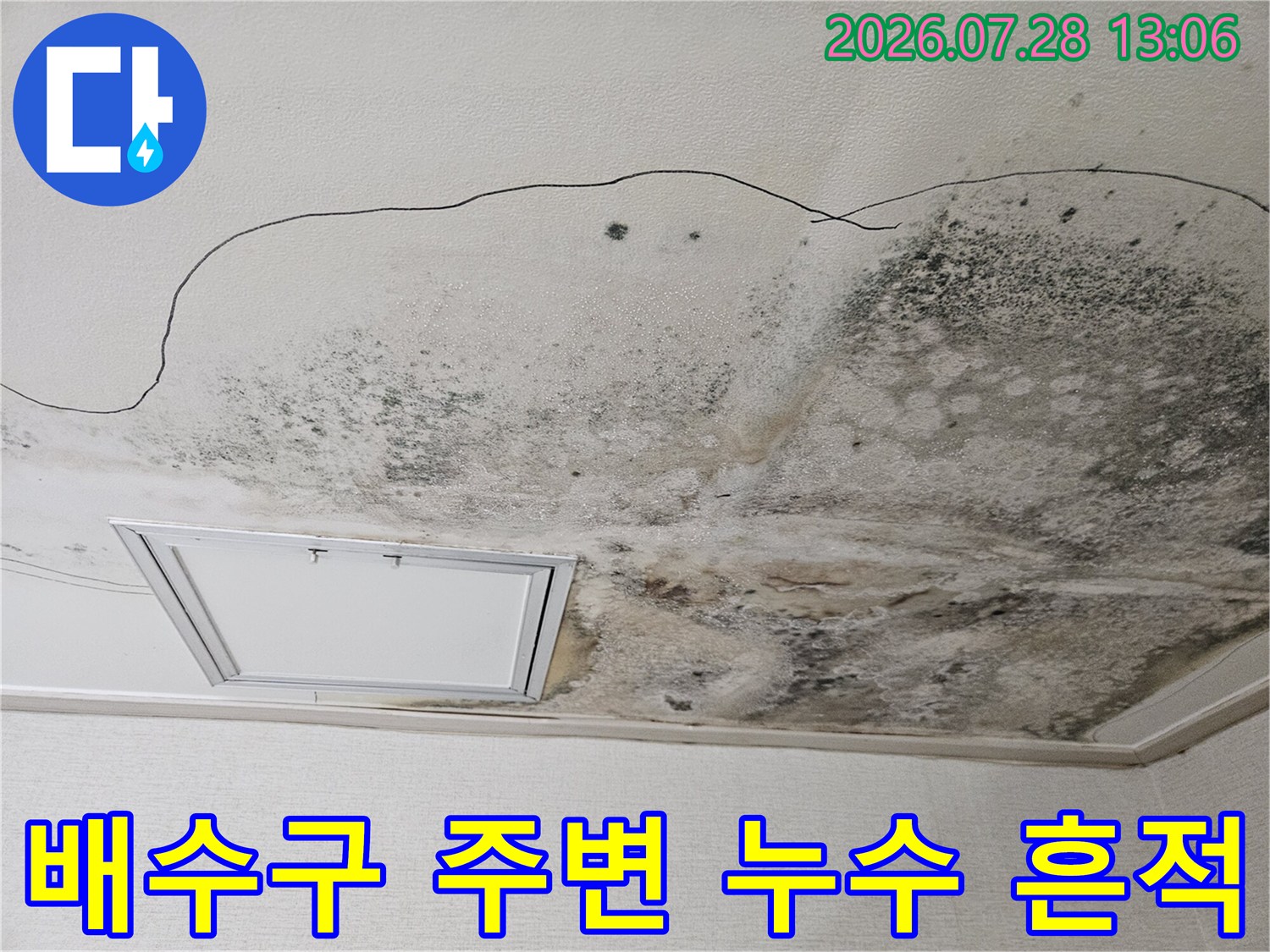 배수구 인근에 집중된 곰팡이와 물자국으로 인한 천장 오염
