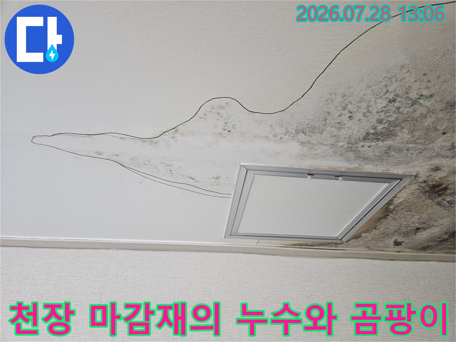주방 천장에 발생한 누수로 인한 곰팡이 및 얼룩 오염 현상