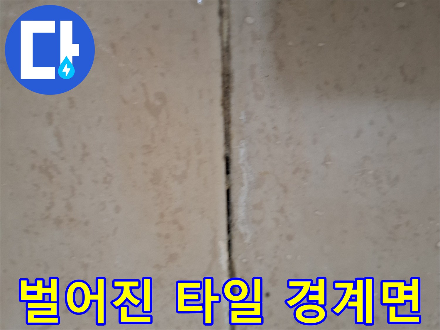 타일과 타일 사이의 벌어짐과 메지 손상 부위를 보여줍니다.