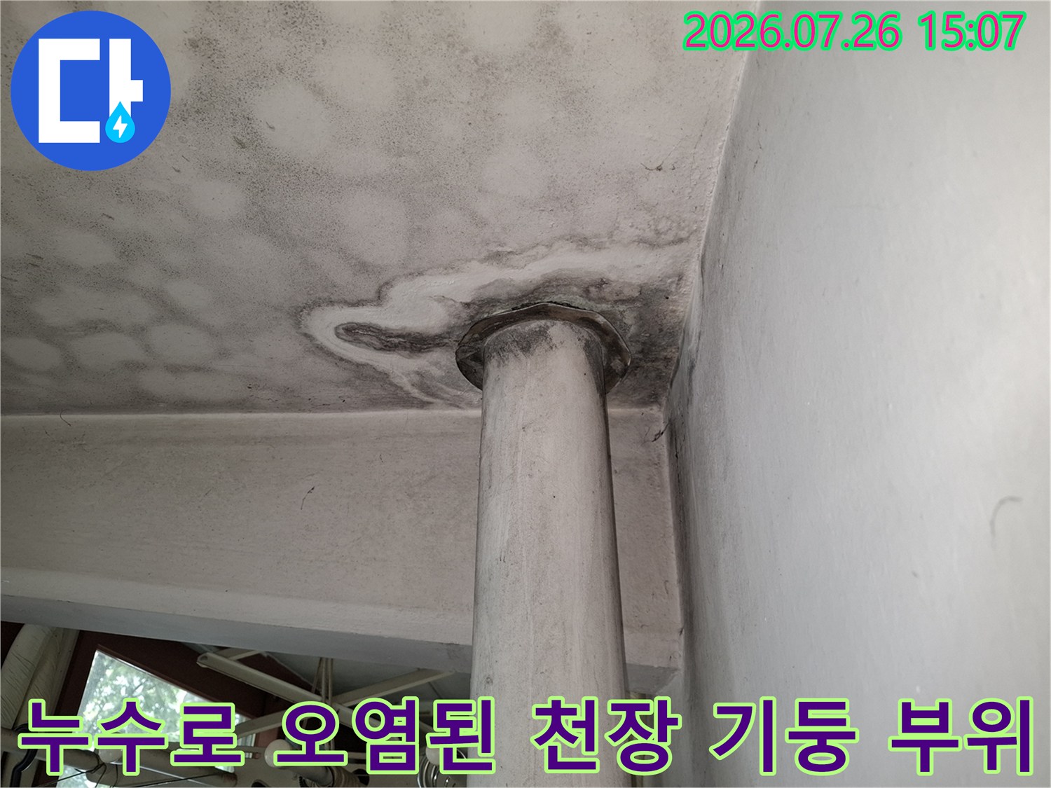 흰색 천장 마감재와 원형 기둥 연결 지점에 발생한 짙은 회색빛 물 얼룩-누수 현장