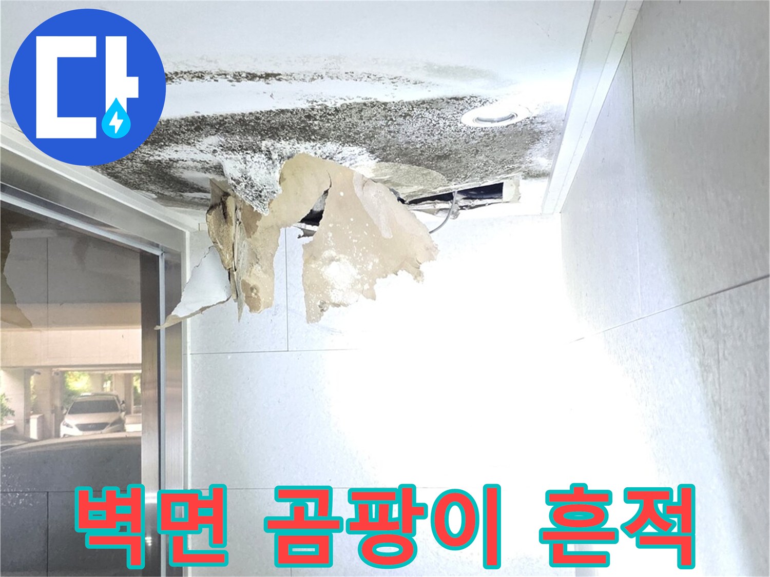 용인 수지구 현장-벽면 마감재가 들뜨고 곰팡이가 발생한 모습