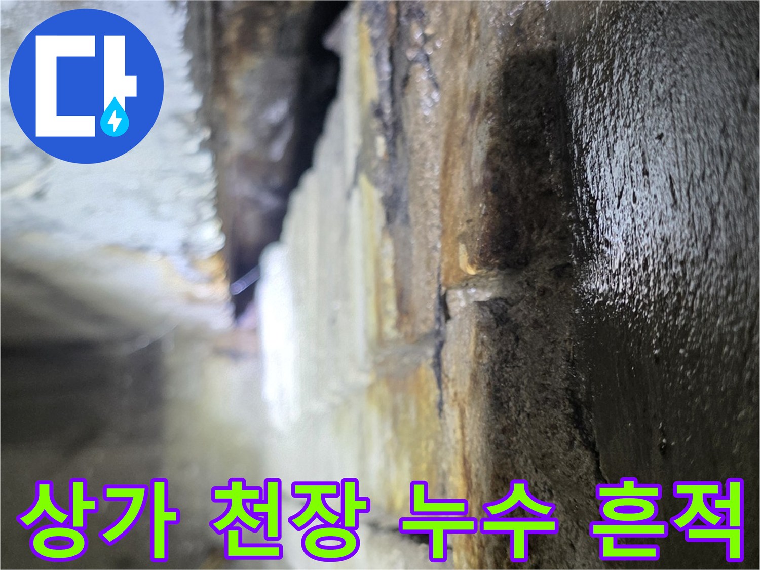 분당 수내동-상가 천장 내부의 습기와 오염된 슬래브 상태