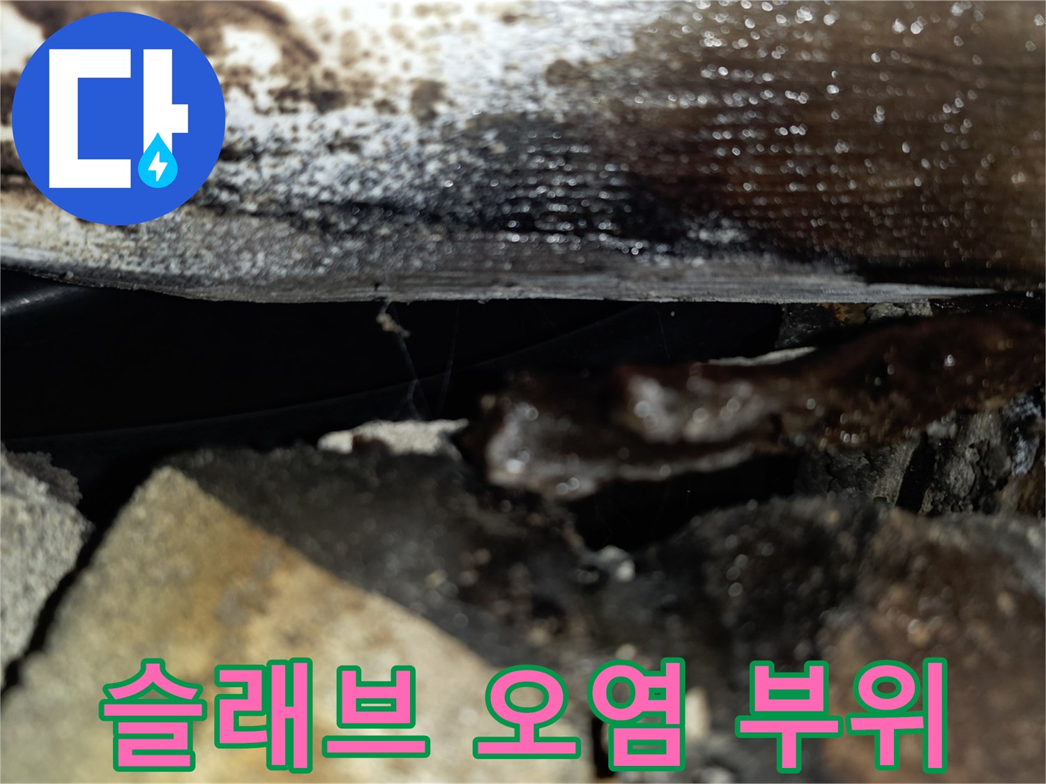 천장 슬래브-물샘으로 인한 젖음과 검은 얼락 현상