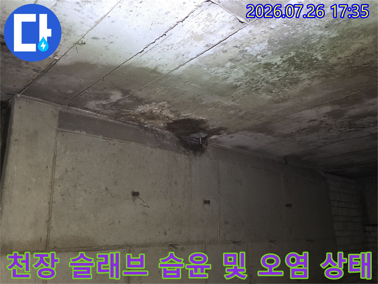 콘크리트-천장-슬래브에-물자국과-곰팡이가-피어있는-누수-현장-사진
