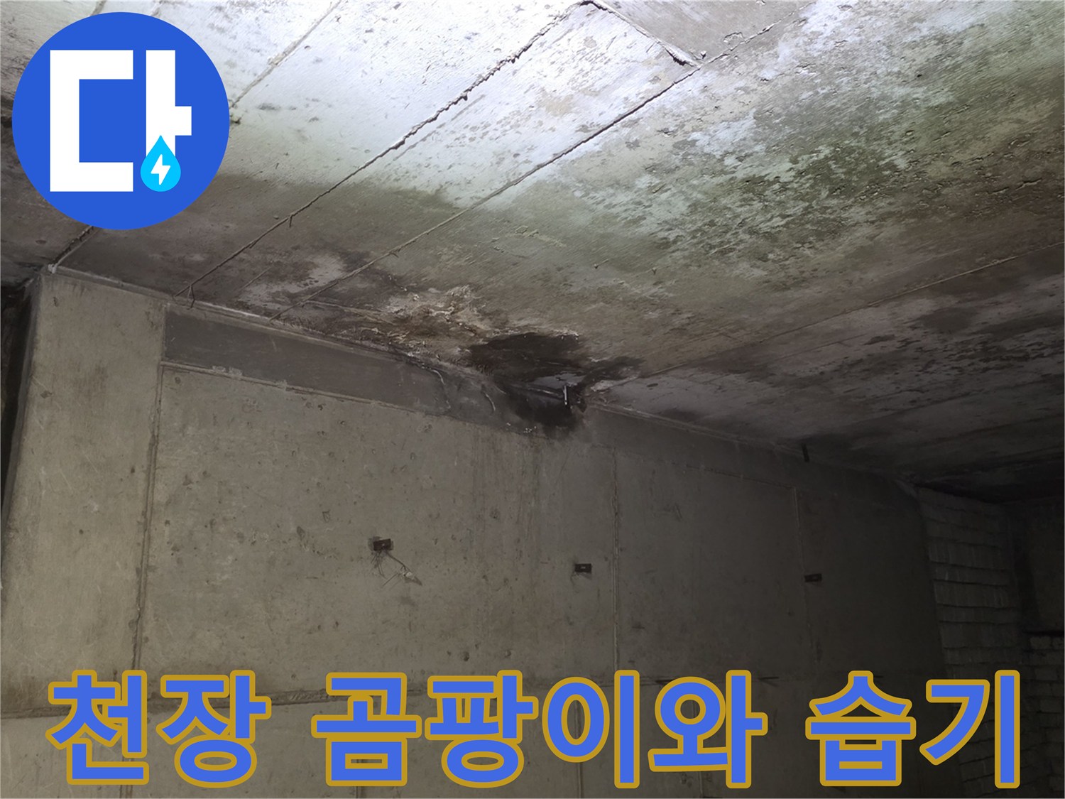 콘크리트 천장-습기로 인한 곰팡이 및 오염 부위