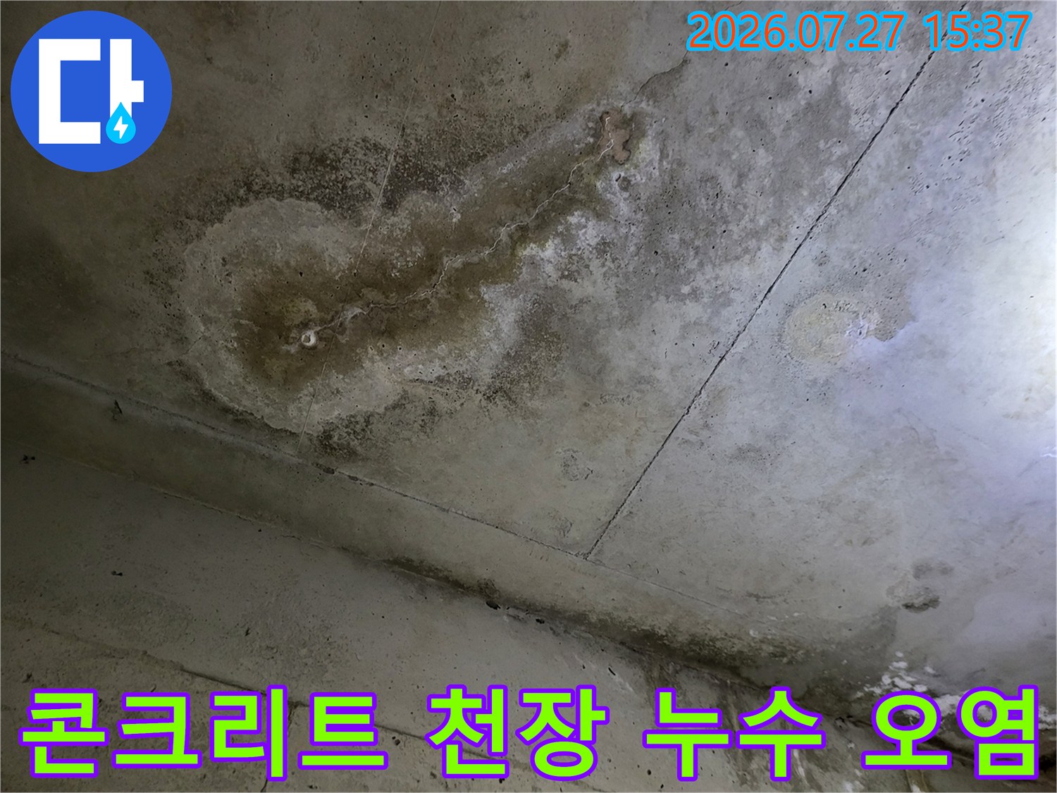 화장실 천장의 콘크리트 면에 발생한 곰팡이와 물때가 섞인 누수 피해 모습