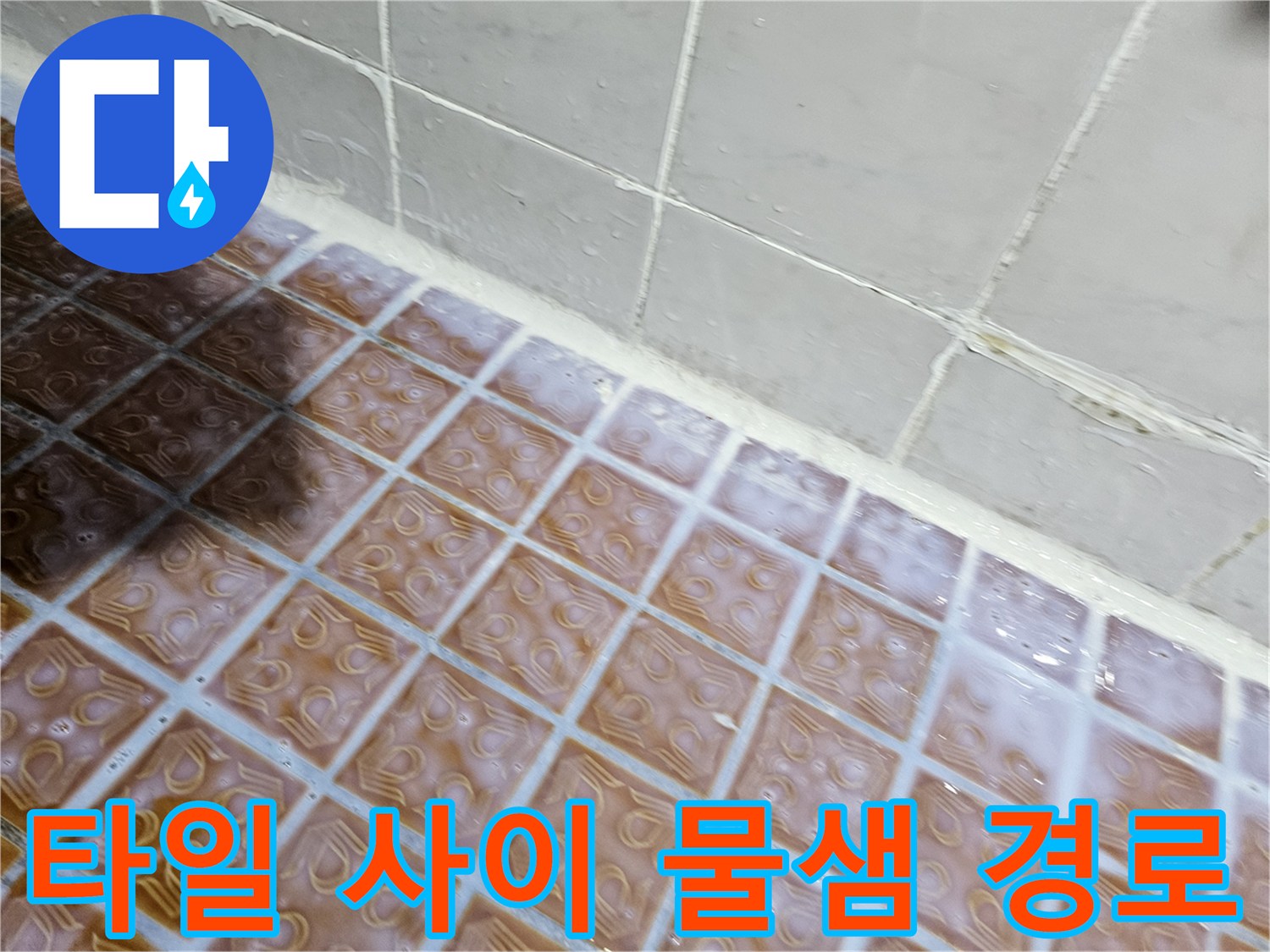 양천구 현장-욕실 타일 줄눈 사이의 수분 유입 가능성 확인