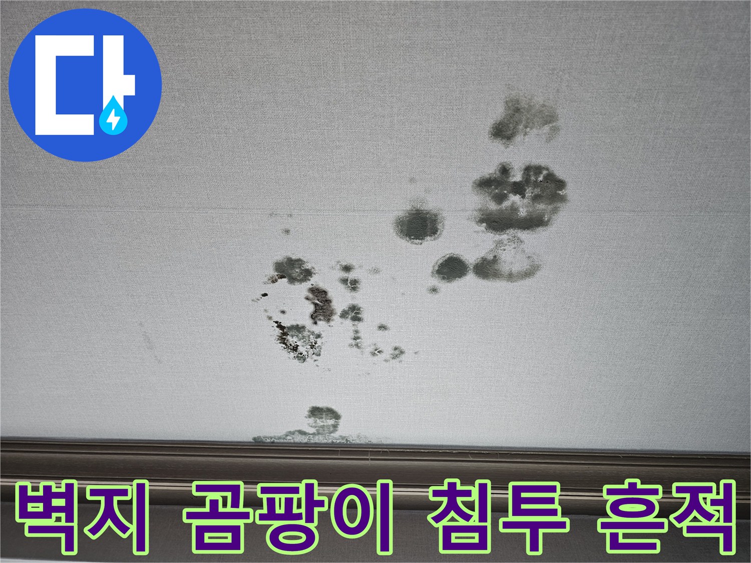 거실 벽면에 나타난 검은색 곰팡이와 습기로 인한 얼룩