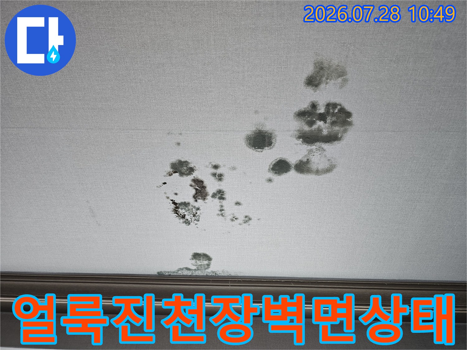 거실 실내 천장에 발생한 곰팡이와 물 자국들