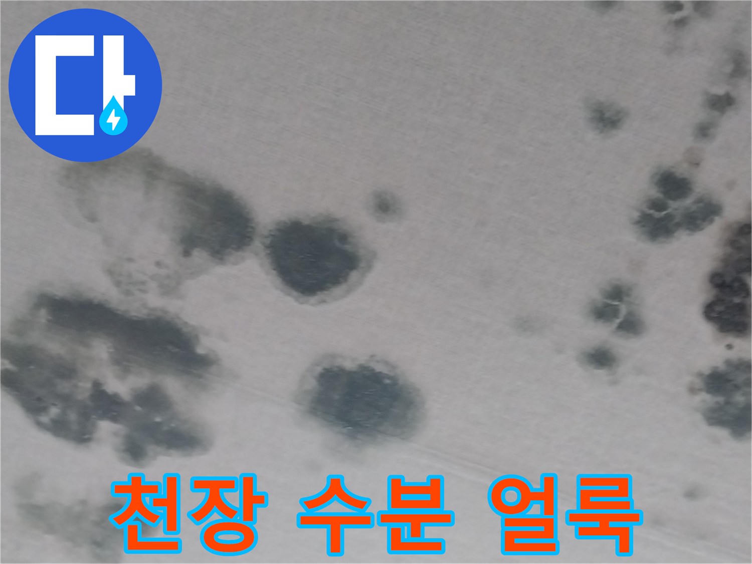 거실 천장 벽지에 나타난 넓은 범위의 물번짐 자국